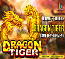 Dragon tiger game development